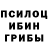 Псилоцибиновые грибы прущие грибы Katerina Chernukho