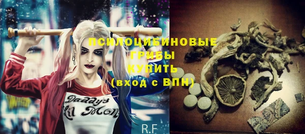 ПСИЛОЦИБИНОВЫЕ ГРИБЫ Алексин