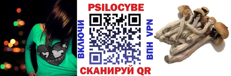 Галлюциногенные грибы Psilocybe  Сунжа 